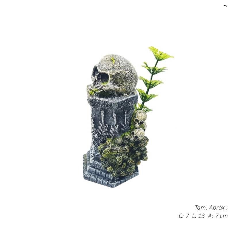 ENFEITE AQUARIO PILAR CRANIO