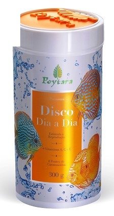 Disco Dia A Dia