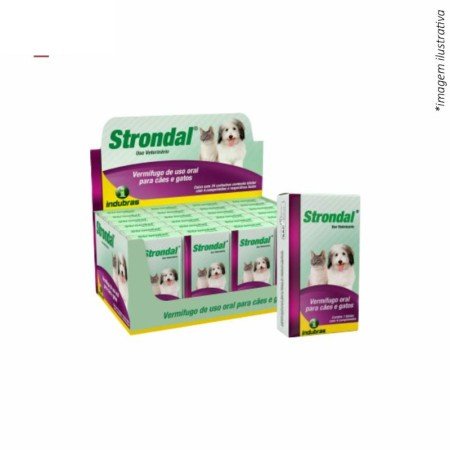 STRONDAL C/4 COMP